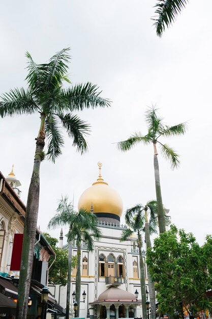 シンガポールの美しいモスクとヤシの木