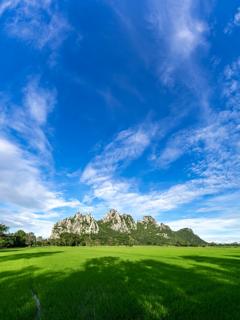 青い空、田んぼの前景、タイ北部のナコンサワン県の美しい山