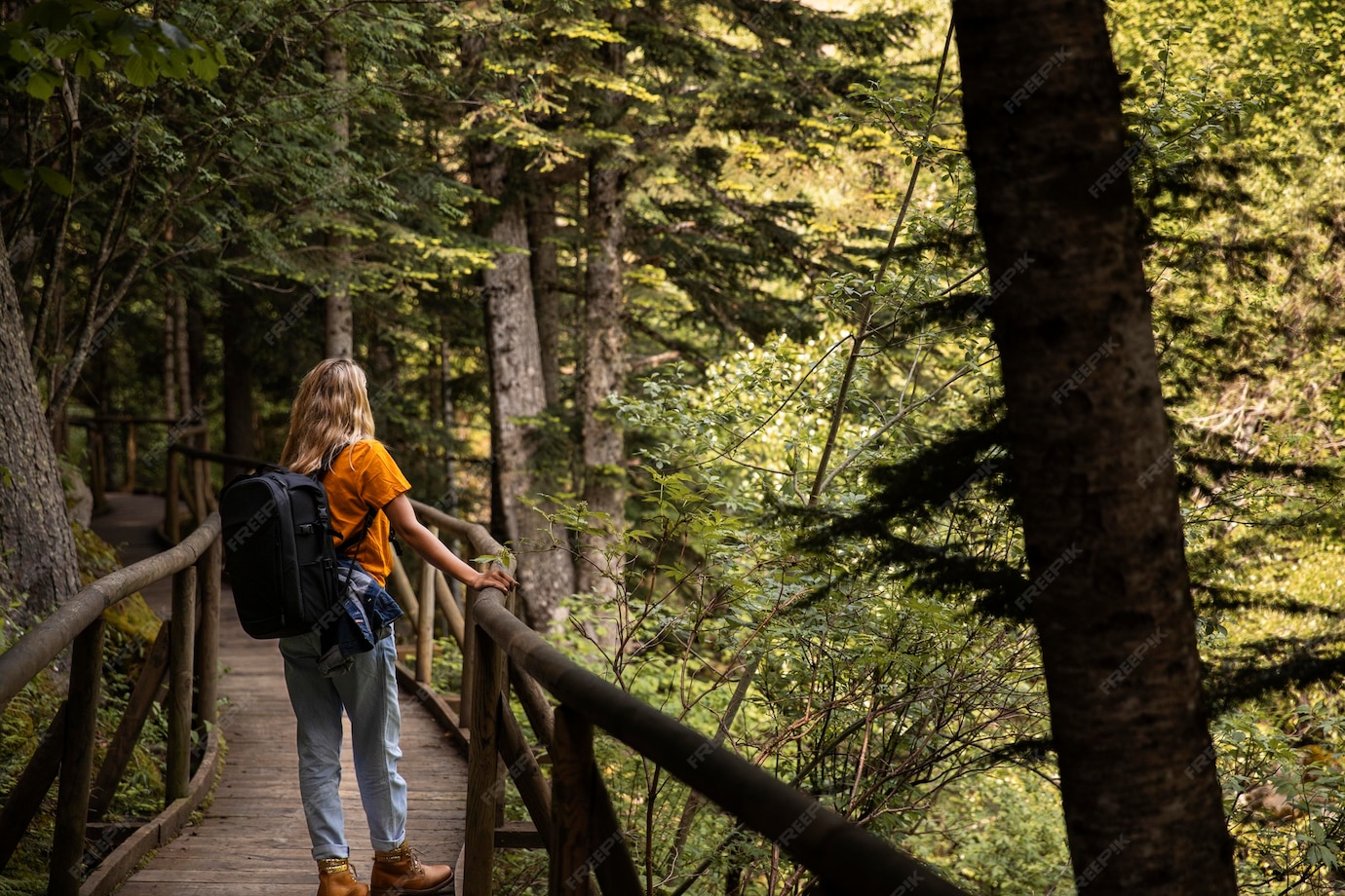 Hiking Trails Rediscover Nature’s Beauty