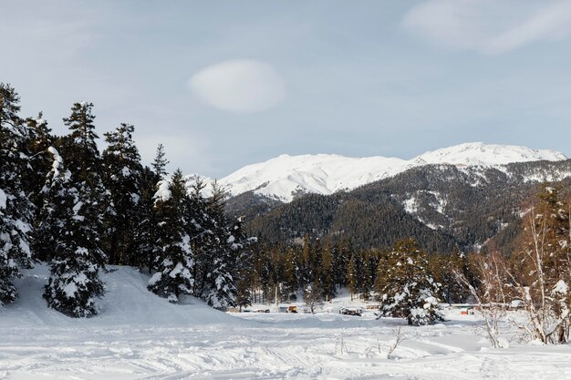 美しい山の風景