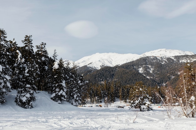 美しい山の風景