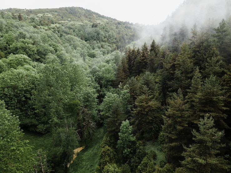 Free Photo beautiful mountain landscape