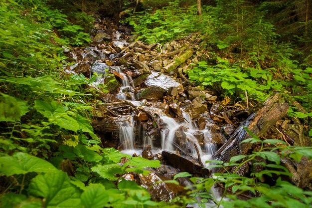 Beautiful mountain stream on  mountains