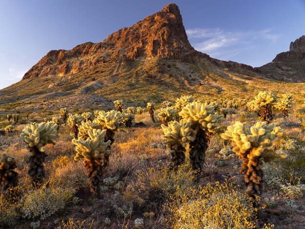 Beautiful mountainous landscape under the blue sky on a sunny day