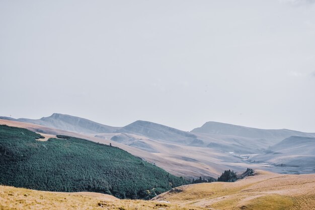 Beautiful mountainous landscape covered with trees