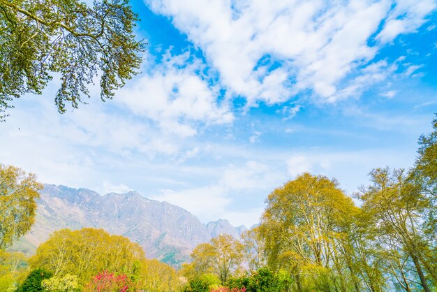 美しい山の風景カシミール州、インド。