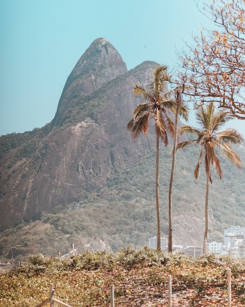 Foto gratuita bellissime montagne e alberi catturati nella spiaggia di copacabana, rio de janeiro