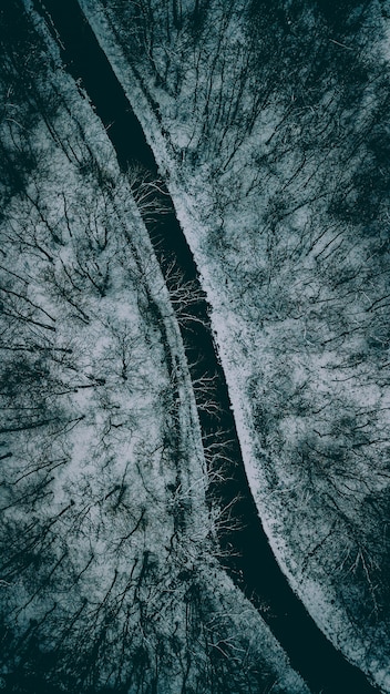 Beautiful narrow road between trees during winter