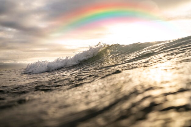 Beautiful natural landscape with rainbow