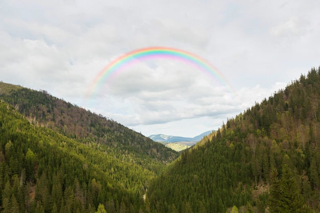 Free photo beautiful natural landscape with rainbow