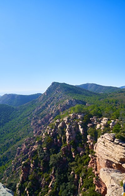 明るい空の下で緑に囲まれた岩の崖のある美しい自然の風景