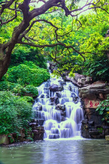 美しい自然の滝
