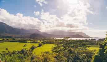 Free photo beautiful nature on the kauai island, hawaii