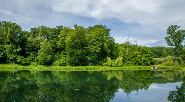 자그레브 막시 미르 공원의 아름다운 자연이 물에 반영