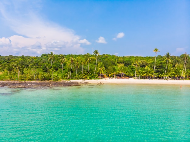 美しい自然の熱帯のビーチとパラダイス島のヤシの木と海