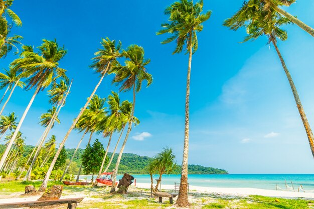 Beautiful nature tropical beach and sea 