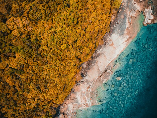 Beautiful nature tropical beach and sea 