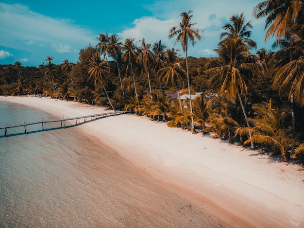 Free photo beautiful nature tropical beach and sea