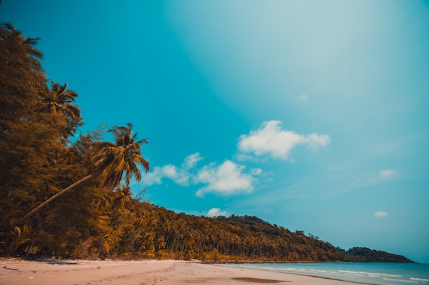 Beautiful nature tropical beach 