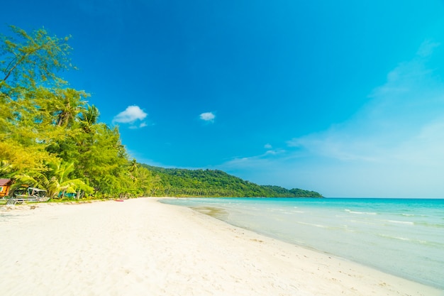 Free Photo beautiful nature tropical beach 