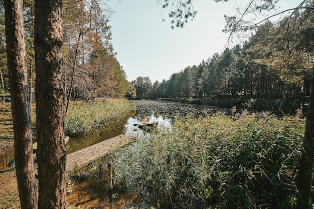 Beautiful nature view on a sunny day