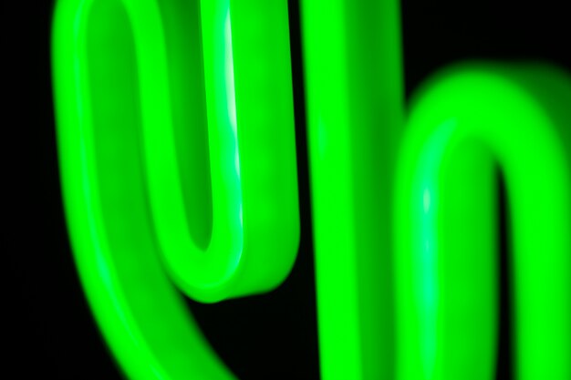 Beautiful neon cactus in bedroom