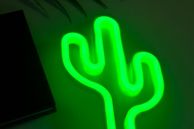 Beautiful neon cactus in bedroom