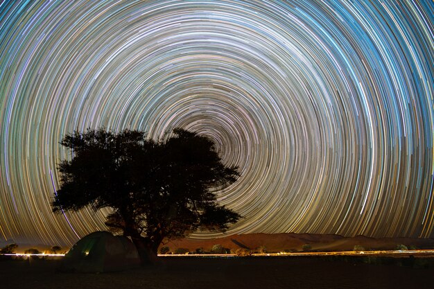 Beautiful night landscape Star trails at Quiver Trees Forest in Keetmanshoop, Namibia