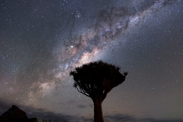 Beautiful night landscape view of Milky way and Galactic core over Etosha National Park Camping, Namibia