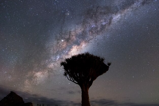 Красивый ночной пейзаж с видом на Млечный путь и галактическое ядро над кемпингом в национальном парке Этоша, Намибия