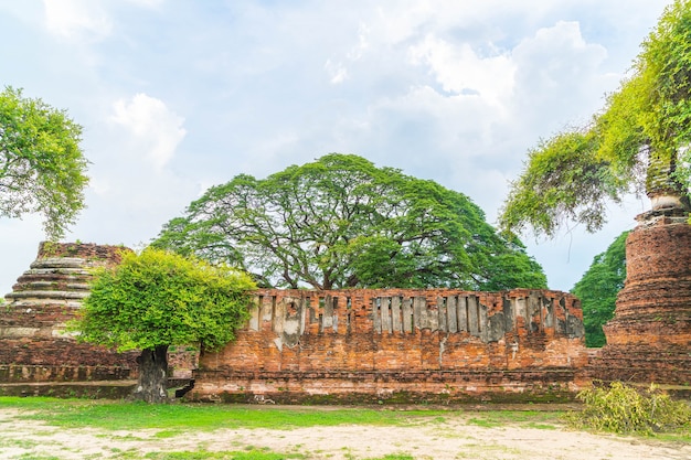 Free photo beautiful old architecture historic of ayutthaya in thailand