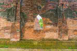 Free photo beautiful old architecture historic of ayutthaya in thailand