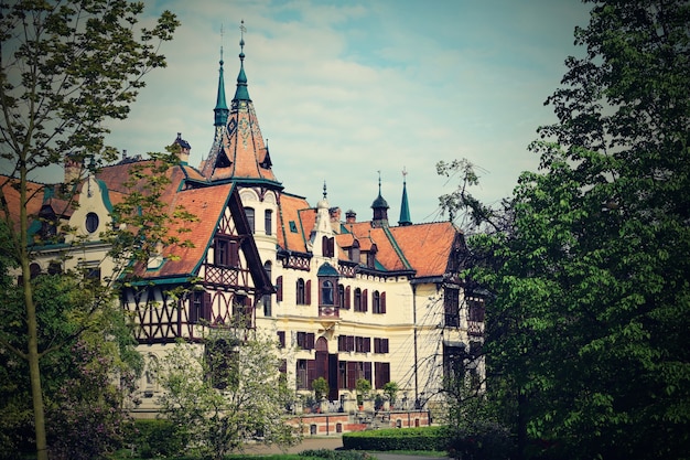 "Beautiful old castle among trees"