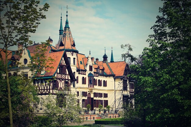 "Beautiful old castle among trees"