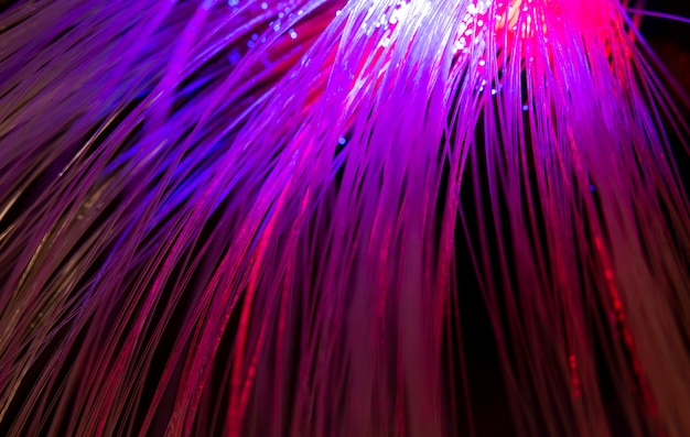 Free photo beautiful optical fiber detail