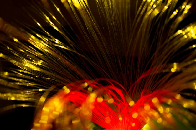 Free photo beautiful optical fiber detail