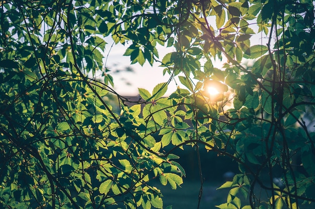 Foto gratuita bellissimo paesaggio all'aperto