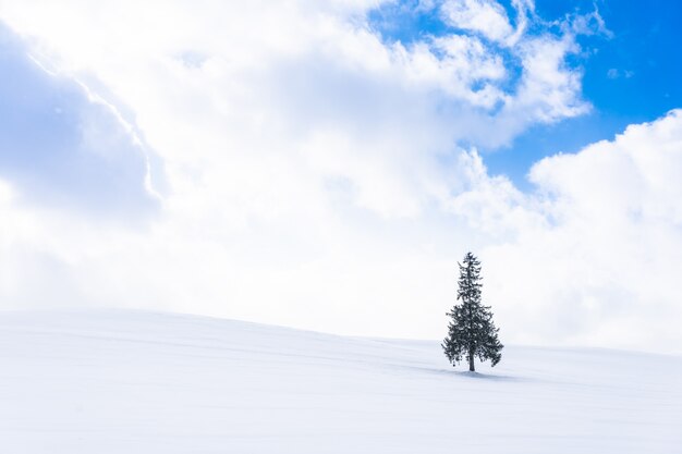雪の冬の天気シーズンで一人で偽物のクリスマスツリーと美しい屋外の自然風景
