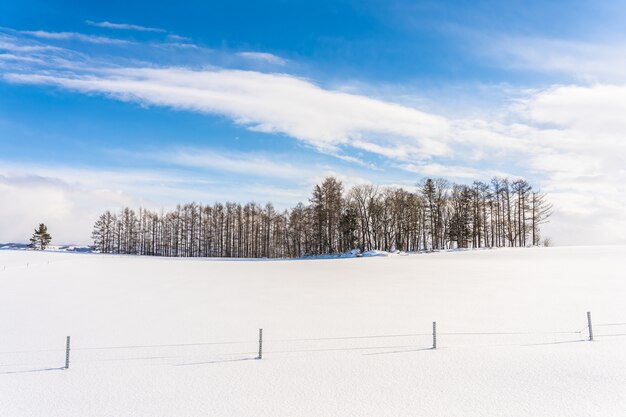 雪冬シーズンの木の枝のグループと美しい屋外の自然風景