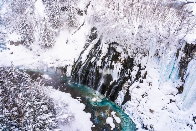 눈 겨울 시즌에 shirahige 폭포와 다리와 아름다운 야외 자연 풍경