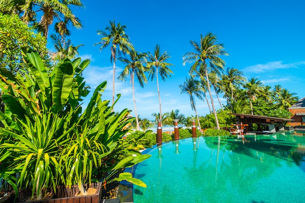 Красивый открытый бассейн с кокосовой пальмой