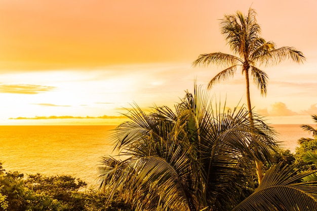 Beautiful outdoor tropical beach sea around samui island with coconut palm tree and other at sunset time