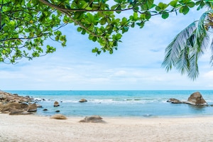 Beautiful outdoor tropical beach sea around samui island with coconut palm tree and other