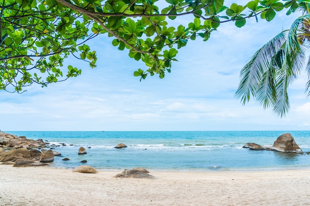 코코넛 야자수와 다른 사무이 섬 주변의 아름다운 야외 열대 해변 바다