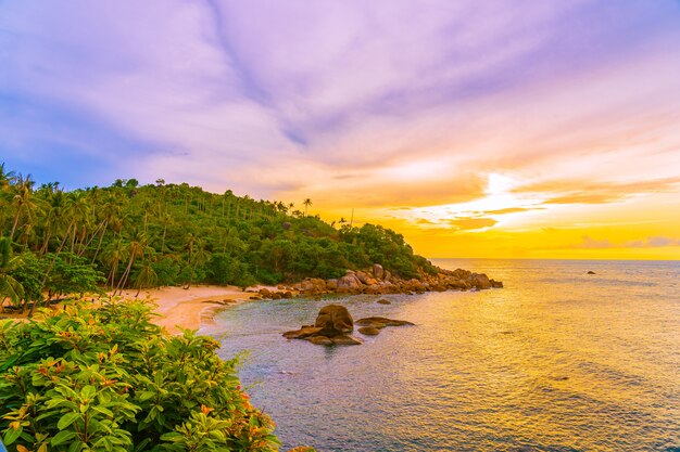 Beautiful outdoor tropical beach sea around samui island with coconut palm tree 