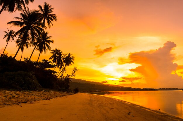 일출 시간에 열 대 코코넛 야자 나무와 아름다운 야외보기 바다와 해변