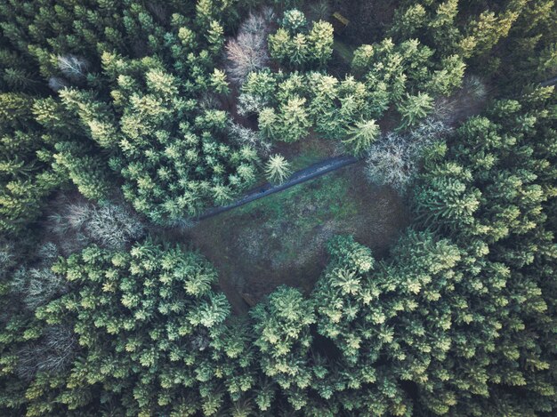 Beautiful overhead aerial shot of a thick forest