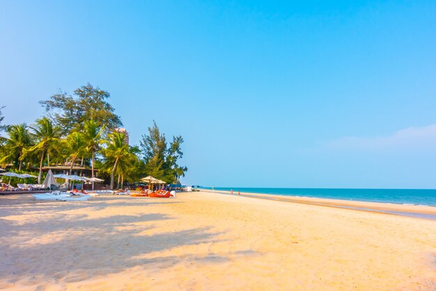 Beautiful palm tree on the beach