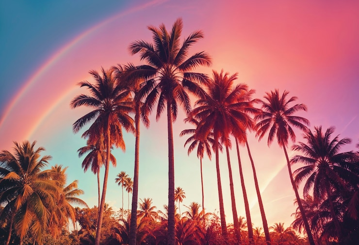 Free Photo beautiful palm tree in vivid colors