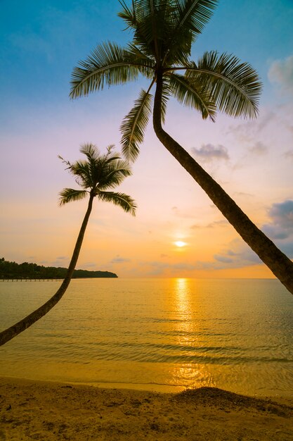 Beautiful paradise island with beach and sea around coconut palm tree